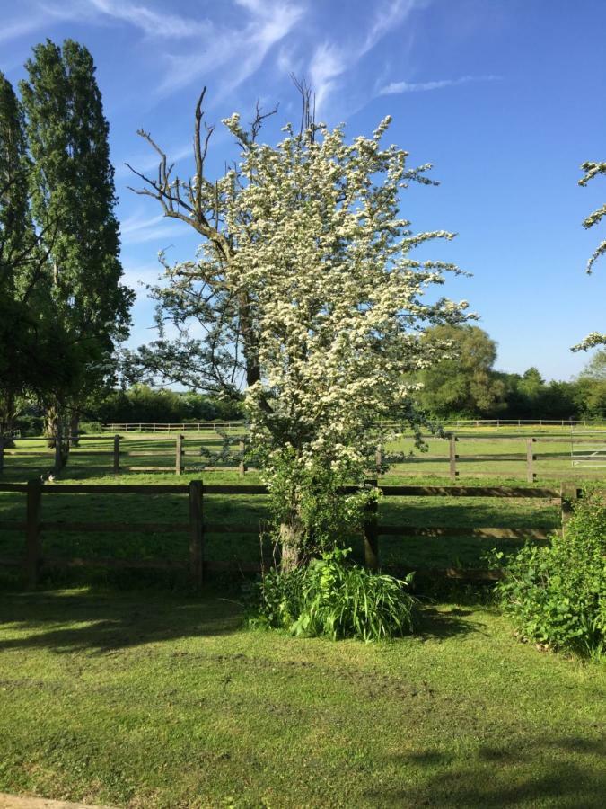 Upper Wood End Farm Bed and Breakfast Marston Moreteyne Buitenkant foto